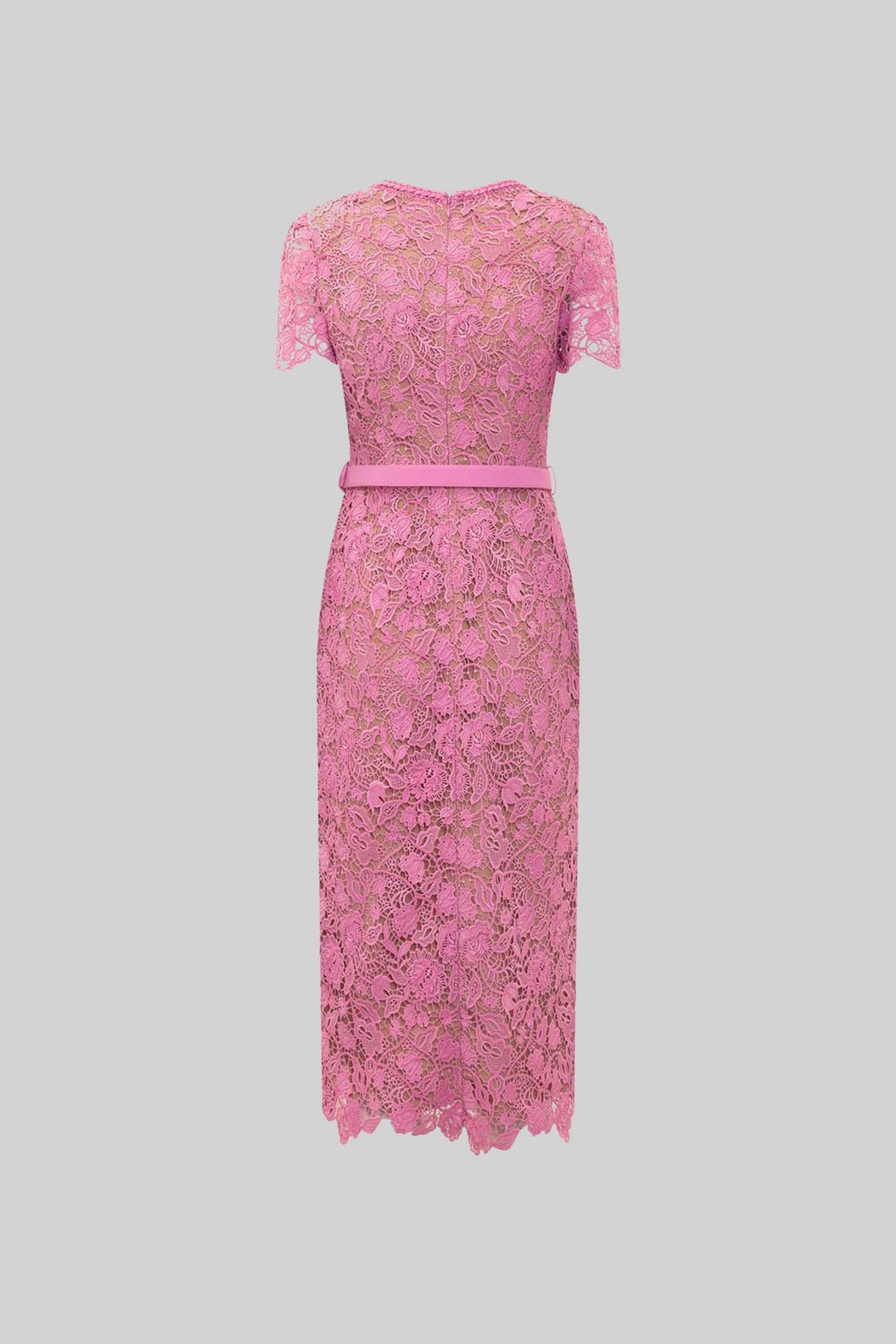 Exquisite Short Sleeve Lace Midi Dress - Rose - View 2