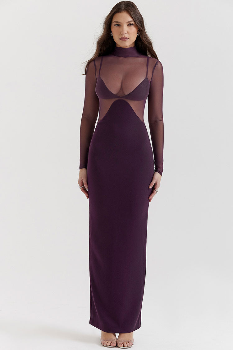 Mesh Mock Neck Long Sleeve Cut Out Bodycon Maxi Dress